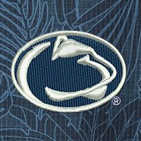 Swatch Color - penn_state