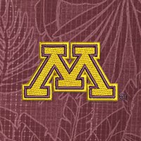 Swatch Color - Minnesota