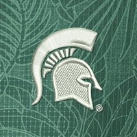 Swatch Color - michigan_state