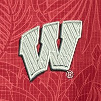 Swatch Color - wisconsin