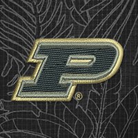 Swatch Color - Purdue