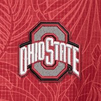 Swatch Color - ohio_state