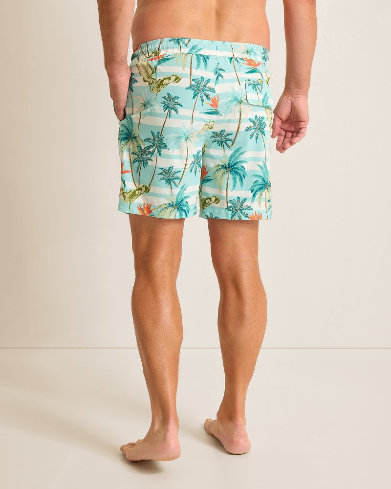 Naples Palmero Stripe 6-Inch Swim Trunks