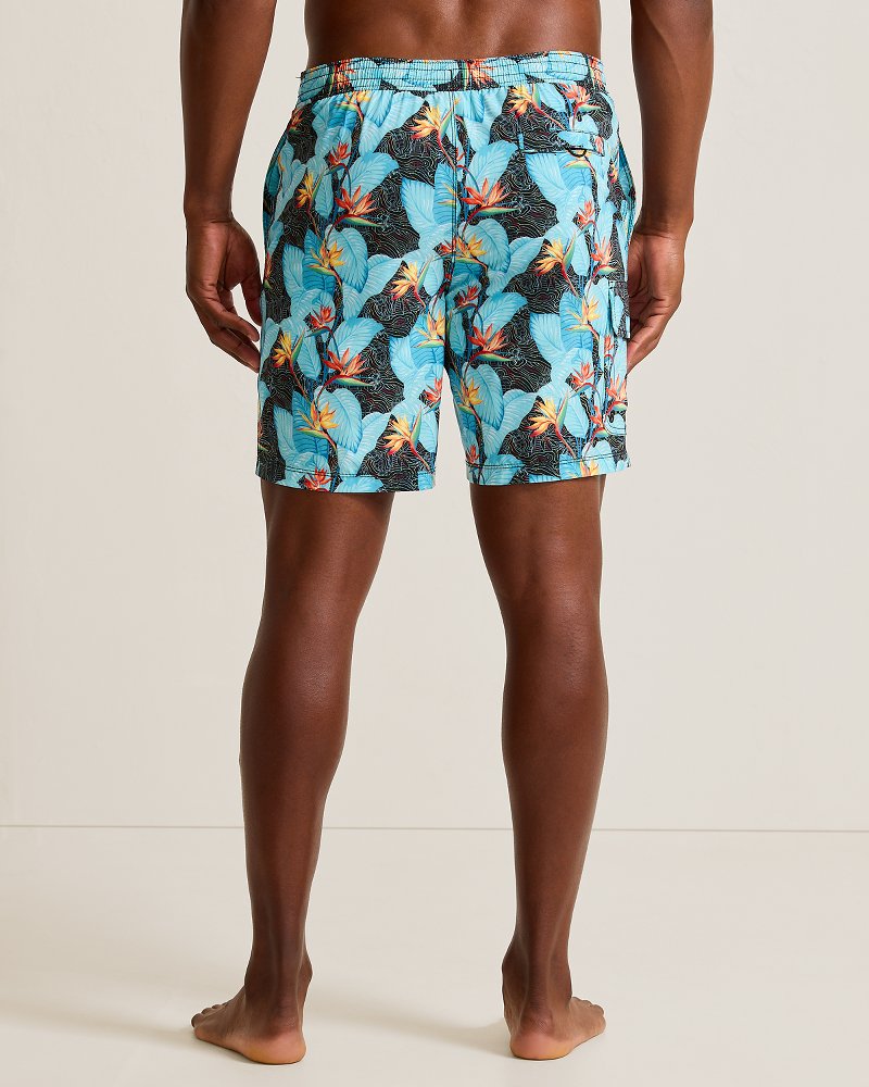 Baja Hidden Gems 8-Inch Boardshorts
