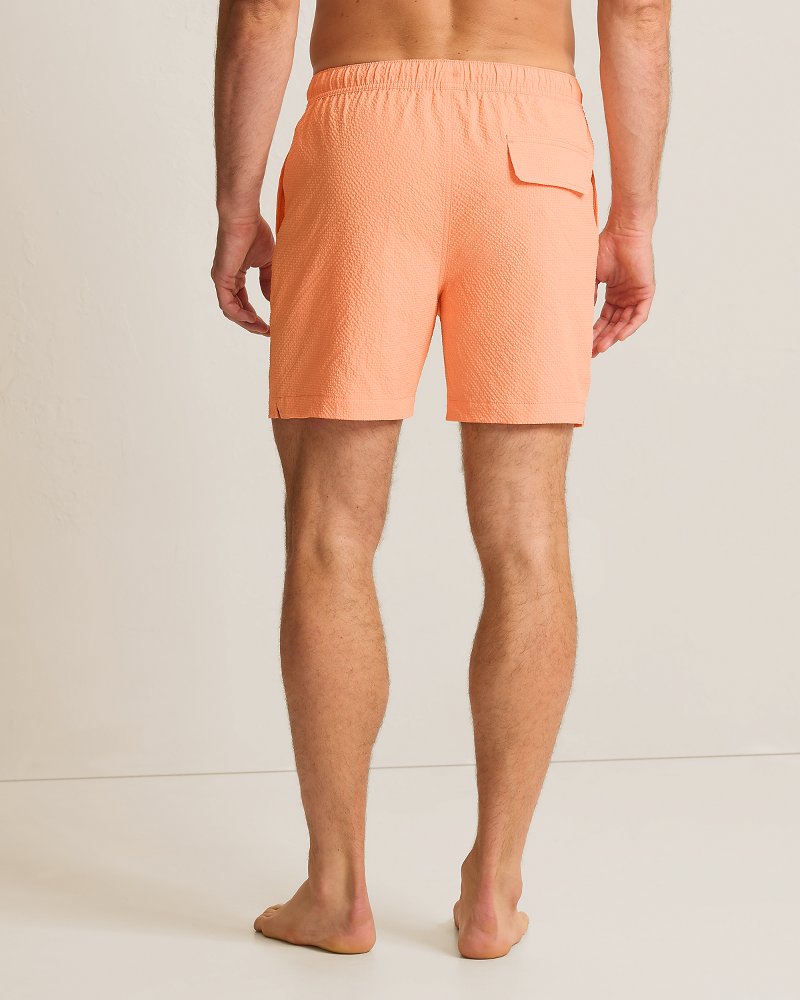 Naples Shores 6-Inch Swim Trunks