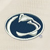 Swatch Color - penn_state