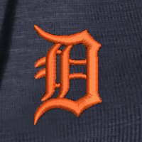 Swatch Color - detroit_tigers