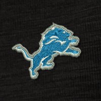 Swatch Color - detroit_lions