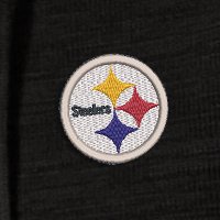 Swatch Color - pittsburgh_steelers