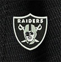 Swatch Color - las_vegas_raiders