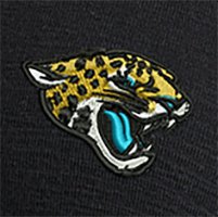 Swatch Color - jacksonville_jaguars