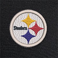 Swatch Color - pittsburgh_steelers