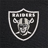 Swatch Color - las_vegas_raiders