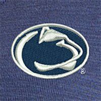 Swatch Color - penn_state