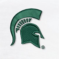 Swatch Color - michigan_state