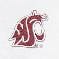 Swatch Color - washington_state