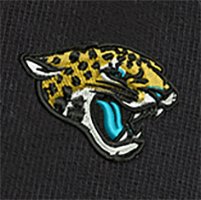 Swatch Color - jacksonville_jaguars