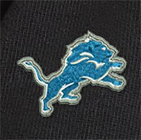 Swatch Color - detroit_lions