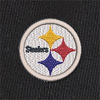 Swatch Color - pittsburgh_steelers