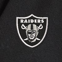 Swatch Color - las_vegas_raiders