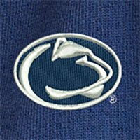 Swatch Color - penn_state