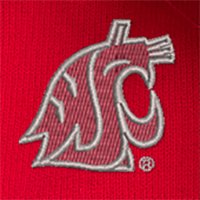 Swatch Color - washington_state
