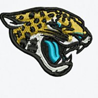 Swatch Color - jacksonville_jaguars