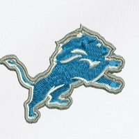 Swatch Color - detroit_lions