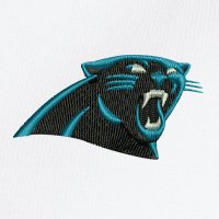 Swatch Color - carolina_panthers