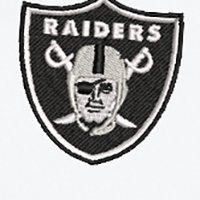 Swatch Color - las_vegas_raiders