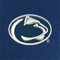 Swatch Color - penn_state