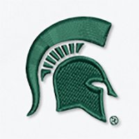 Swatch Color - michigan_state