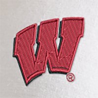 Swatch Color - wisconsin