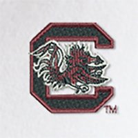 Swatch Color - south_carolina