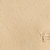 Swatch Color - Wistful Beige