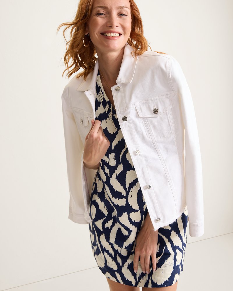 Two Palms Inlet Ikat Short-Sleeve Linen Dress
