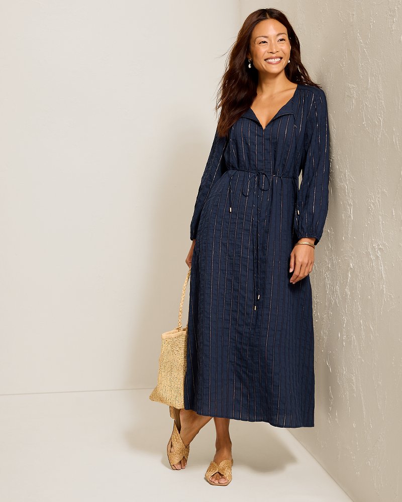 Metallic Stripe Maxi Dress
