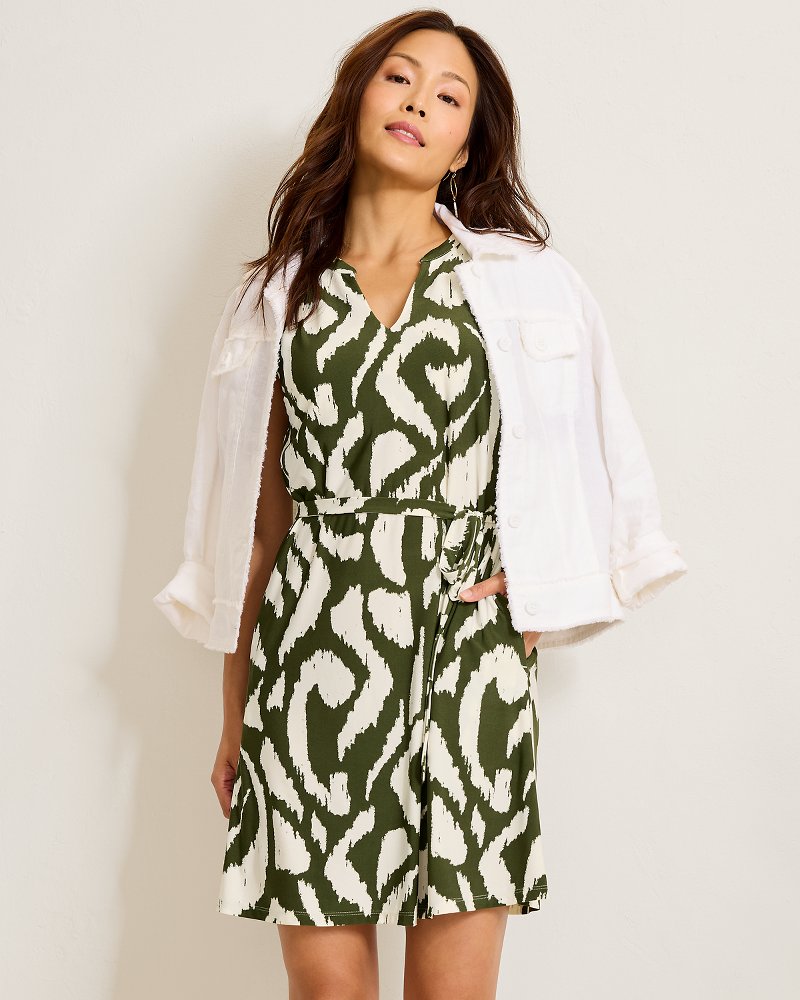 Carmela Inlet Ikat Dress