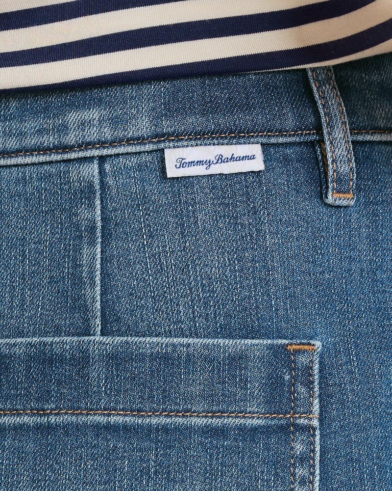 Denim Field Skirt thumbnail 4