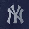 Swatch Color - new_york_yankees