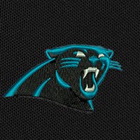 Swatch Color - carolina_panthers