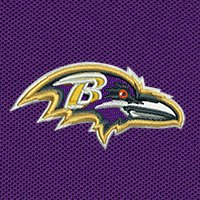 Swatch Color - baltimore_ravens