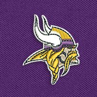 Swatch Color - minnesota_vikings