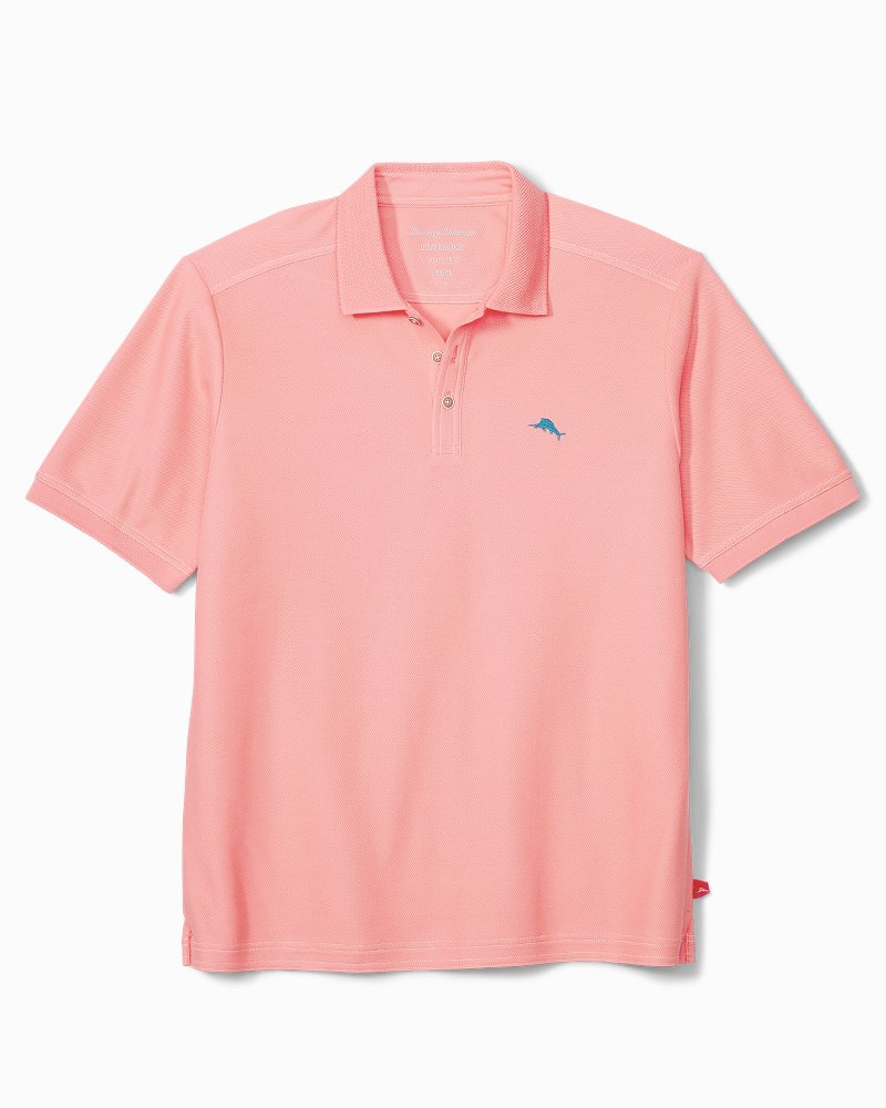 tommy bahama pima cotton polo