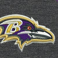 Swatch Color - baltimore_ravens