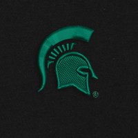 Swatch Color - michigan_state