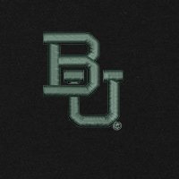 Swatch Color - baylor