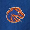 Swatch Color - boise_state