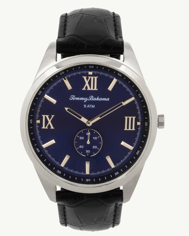 Ithaca Watch