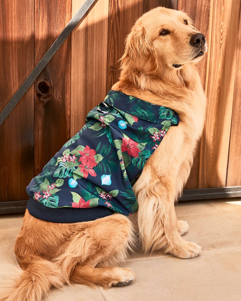 Dog Holiday Shirt & Harness Set